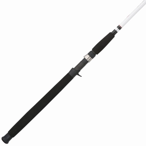 Big Game Casting Rod