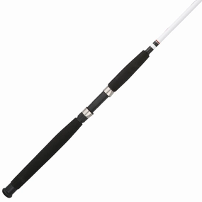 Big Game Spinning Rod