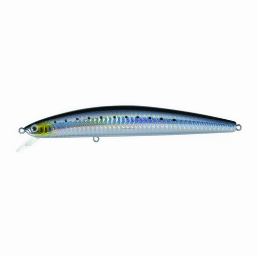 Daiwa SP Minnow