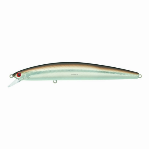 Daiwa SP Minnow