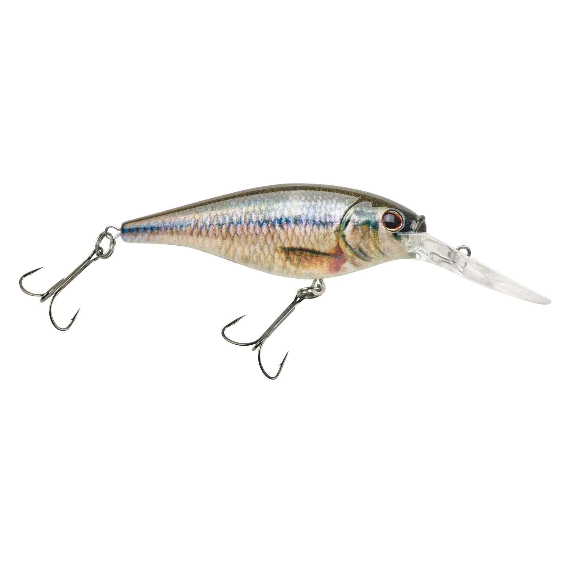 Flicker Shad