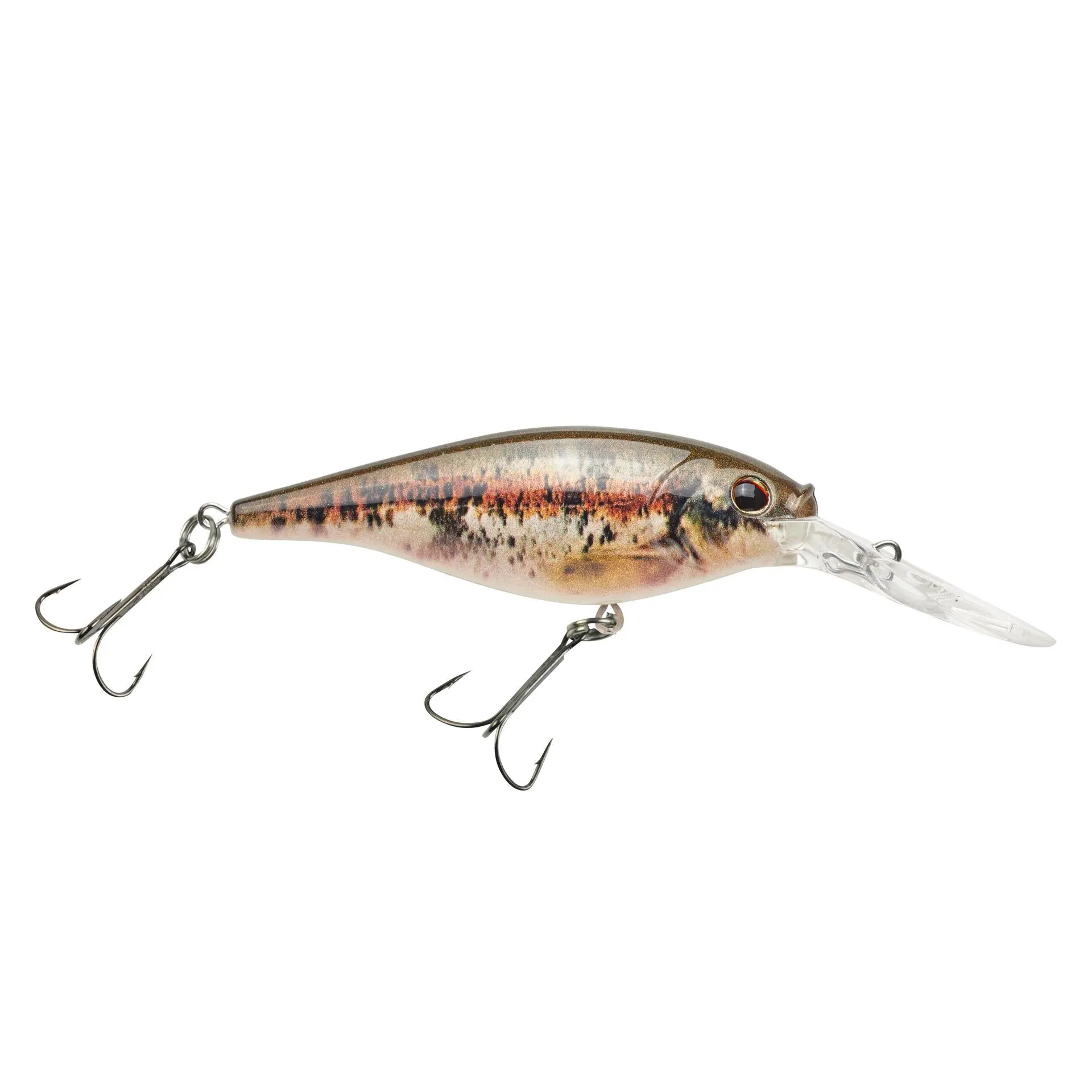 Flicker Shad