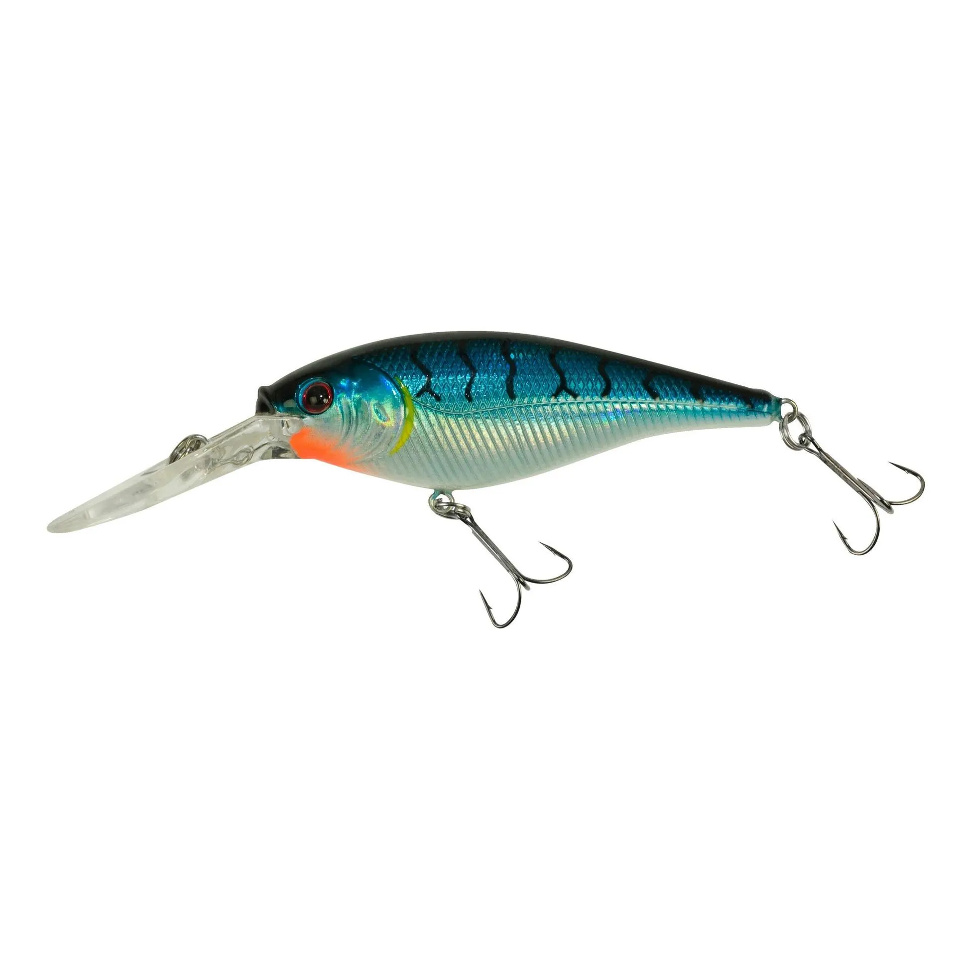 Flicker Shad