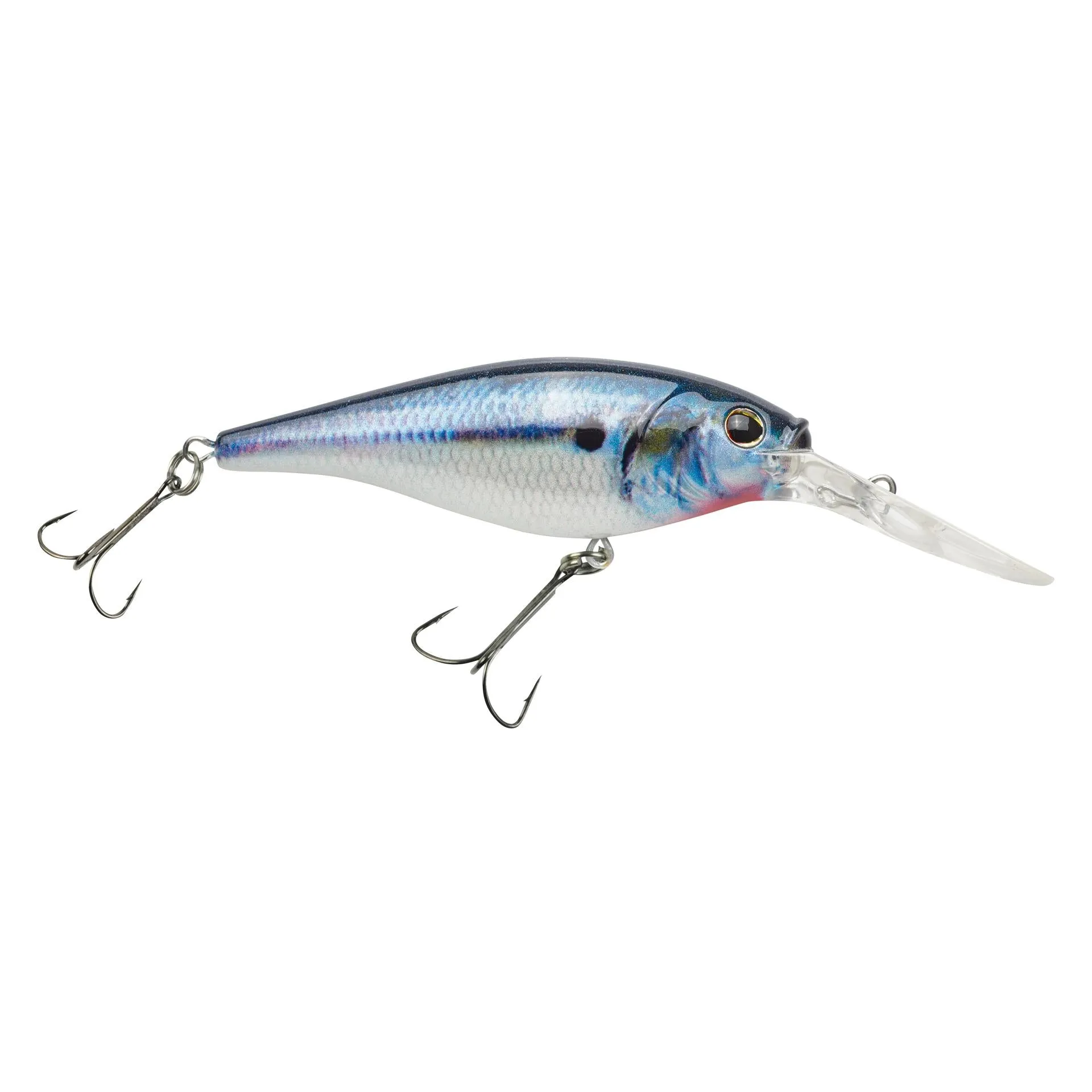 Flicker Shad