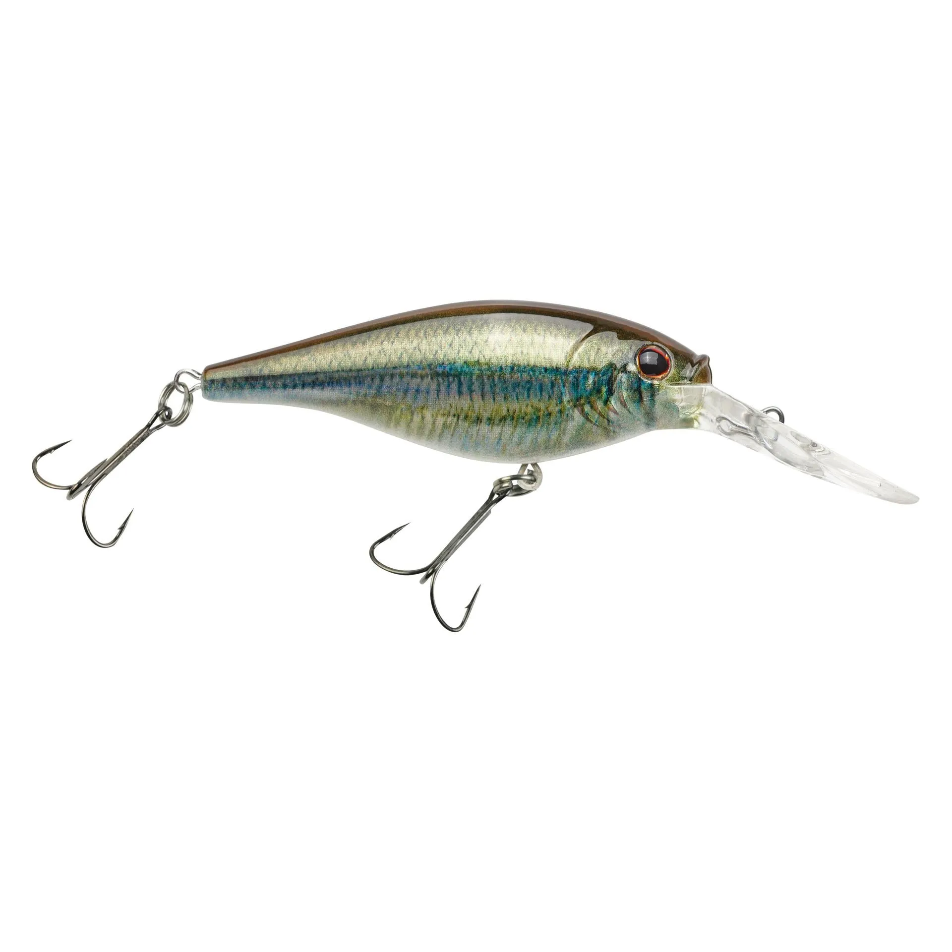 Flicker Shad
