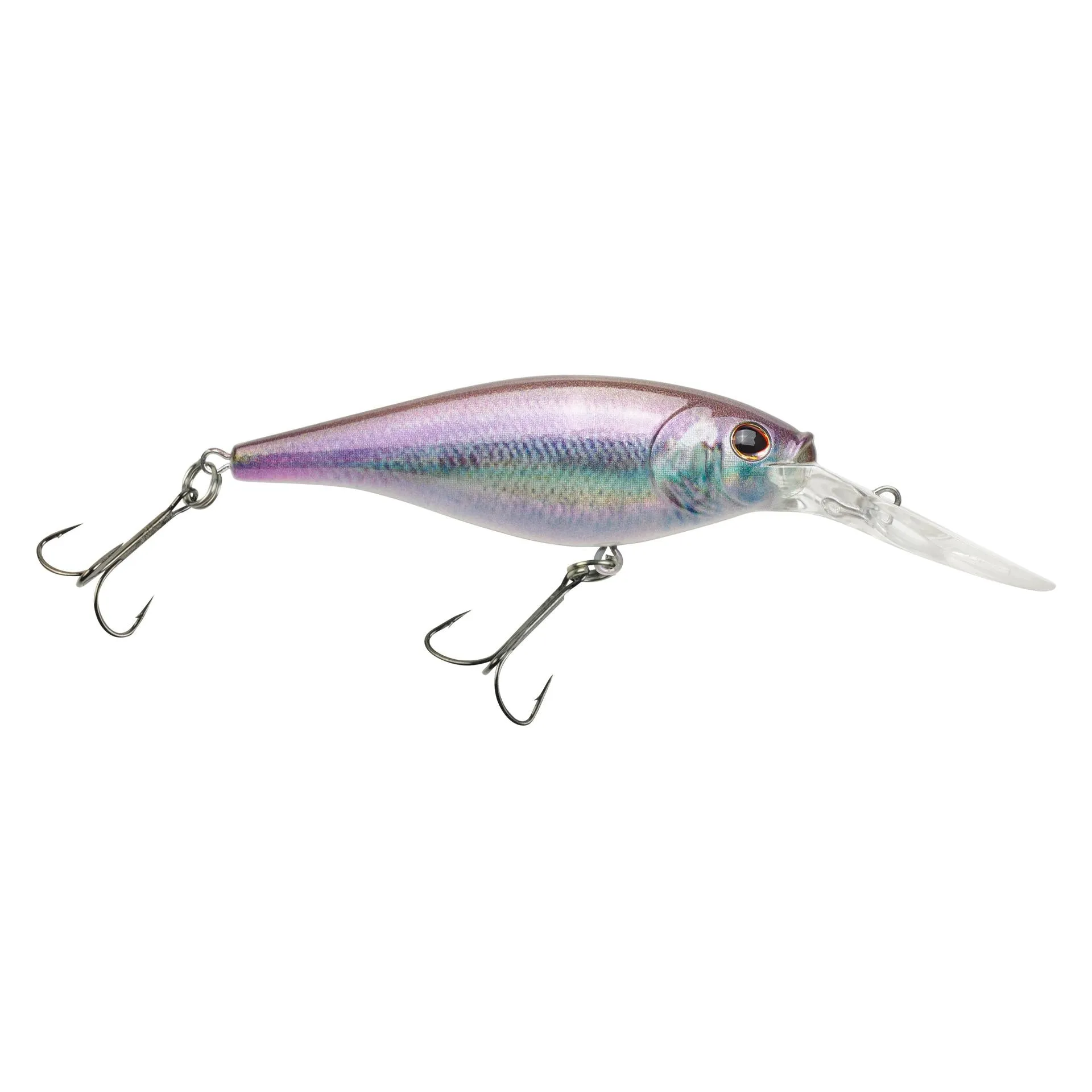 Flicker Shad
