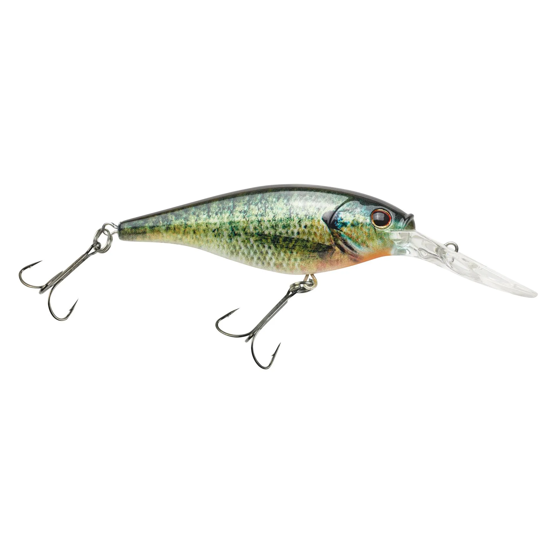 Flicker Shad
