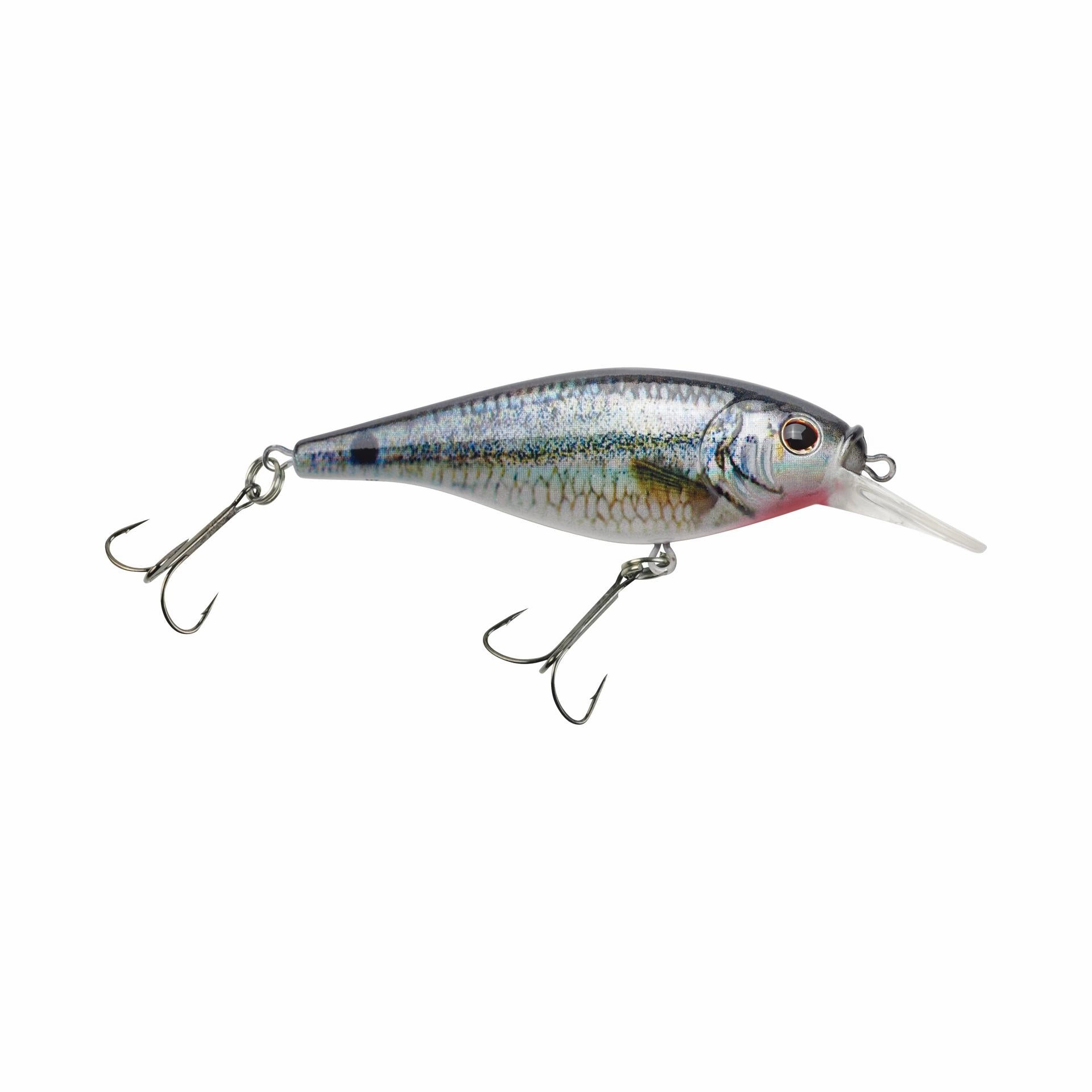 Flicker Shad Shallow