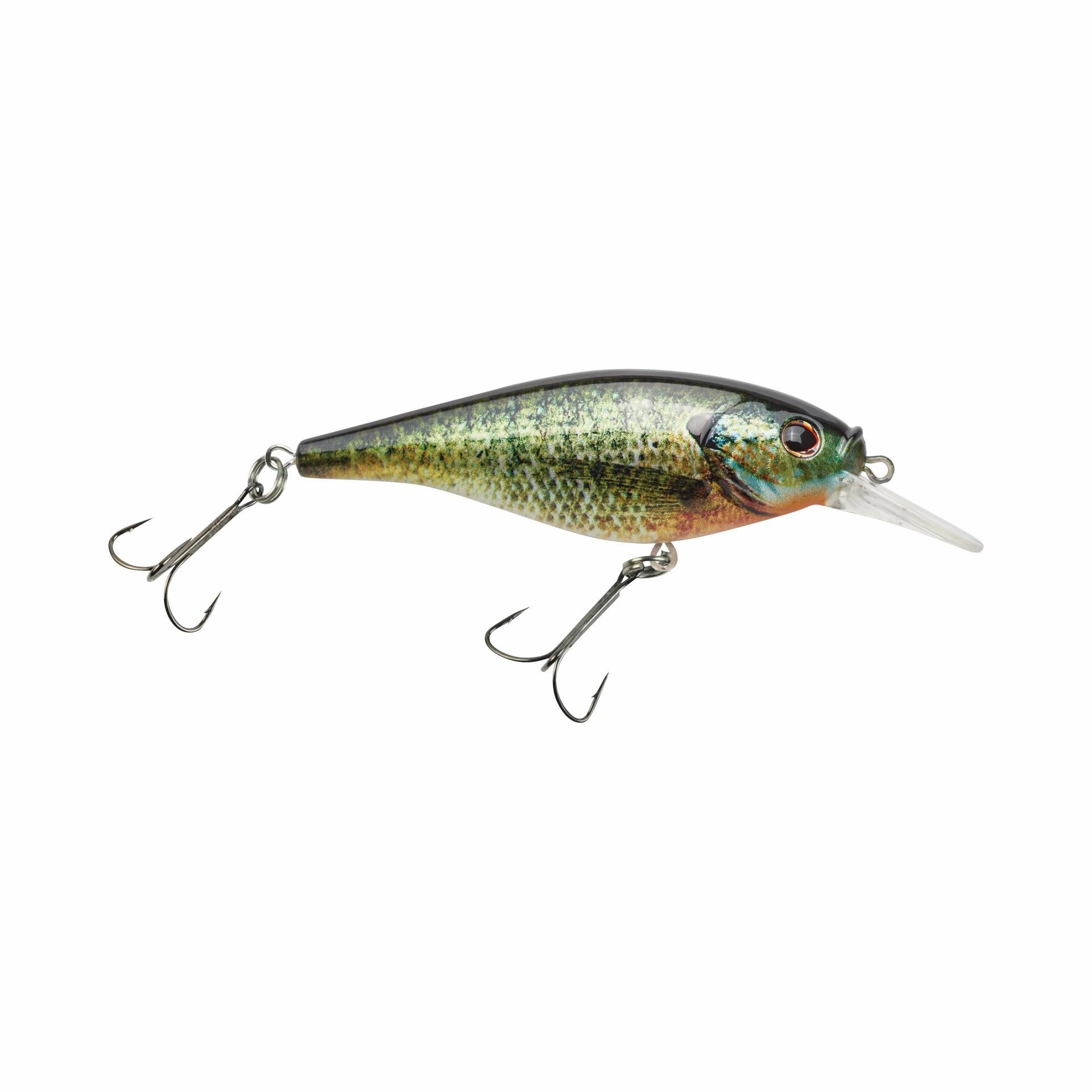 Flicker Shad Shallow