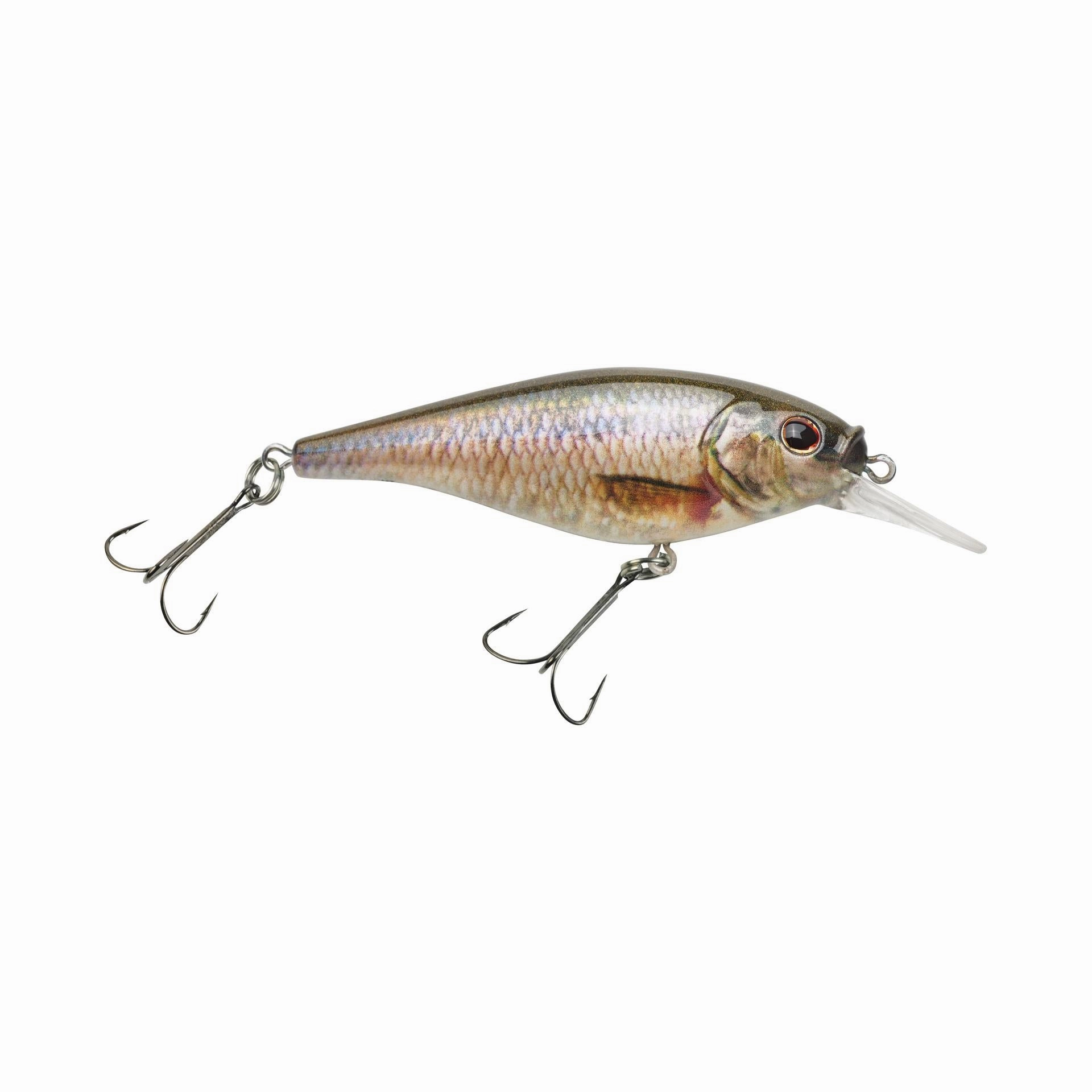 Flicker Shad Shallow