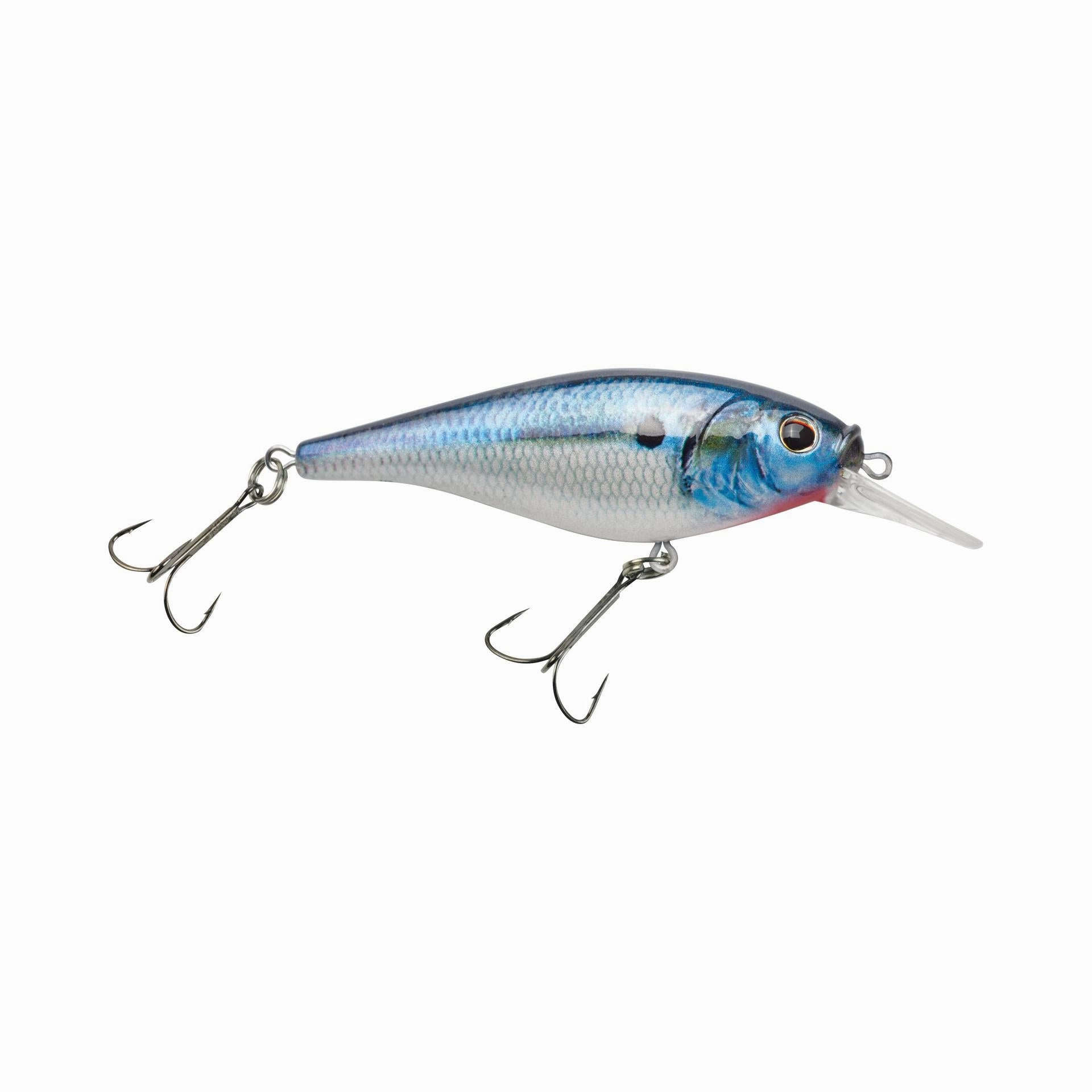 Flicker Shad Shallow