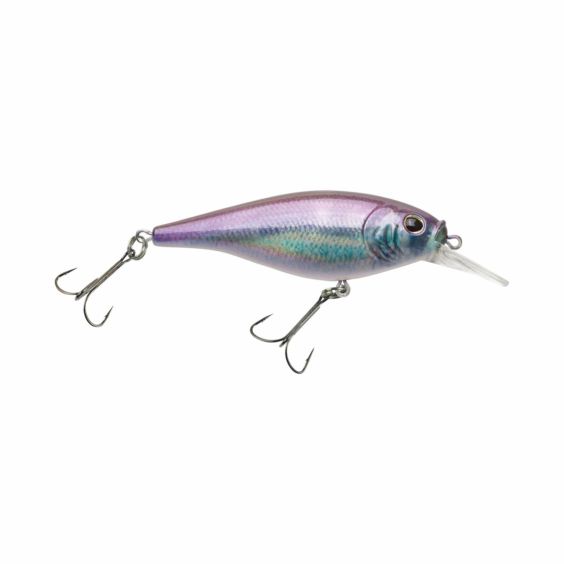 Flicker Shad Shallow