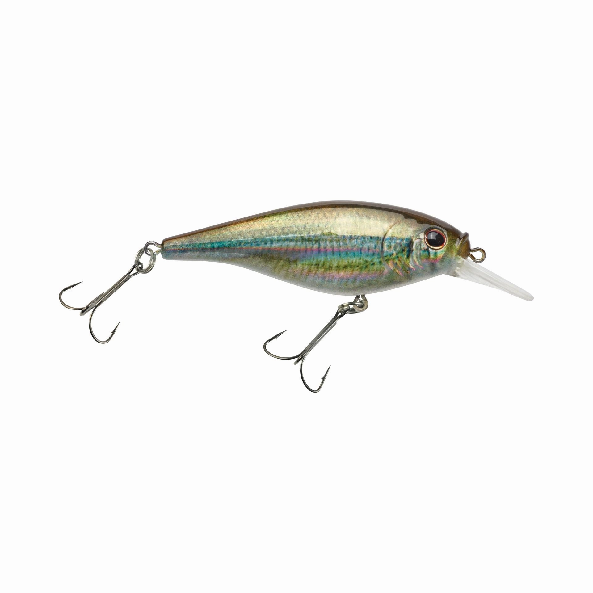 Flicker Shad Shallow