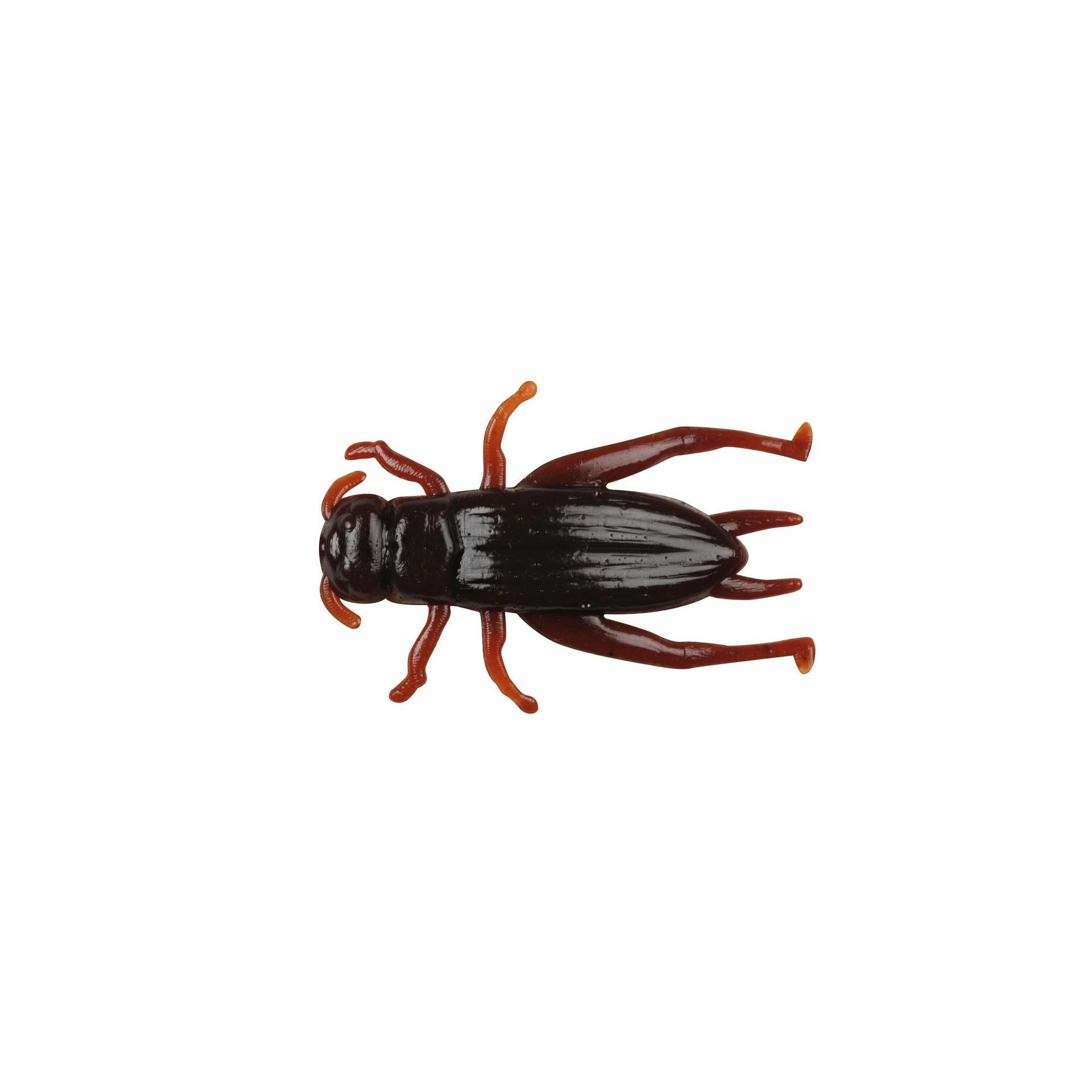 Gulp! Alive! Cricket