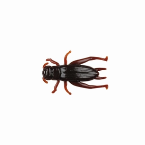 Gulp! Alive! Cricket