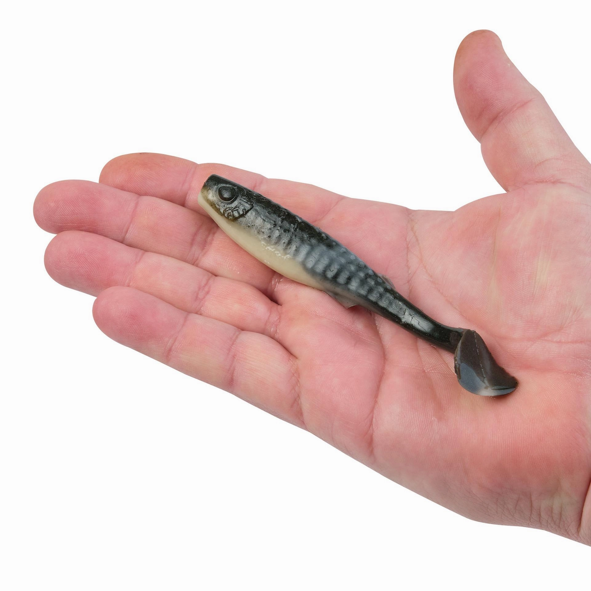 Gulp! Alive! Paddleshad