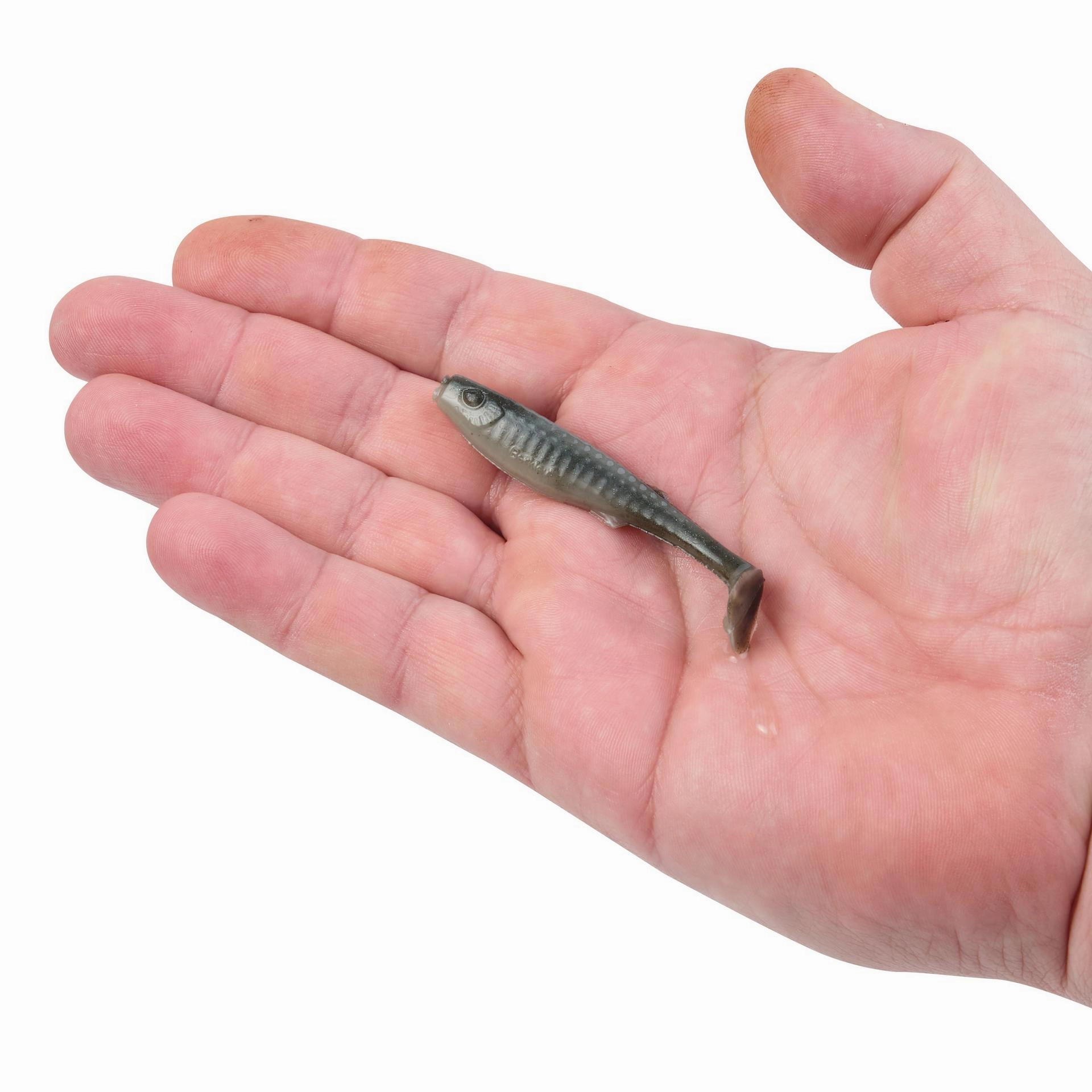 Gulp! Alive! Paddleshad