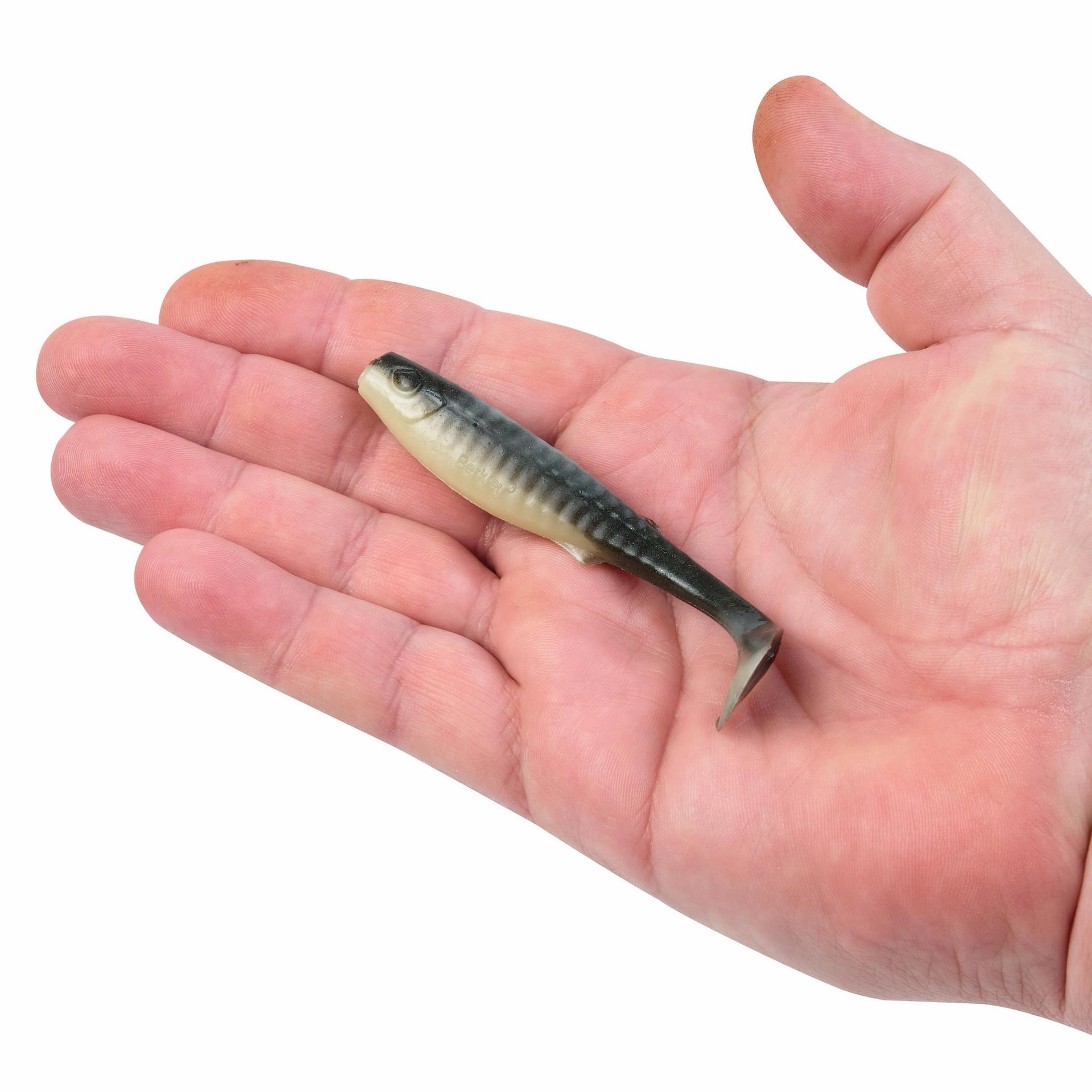 Gulp! Alive! Paddleshad