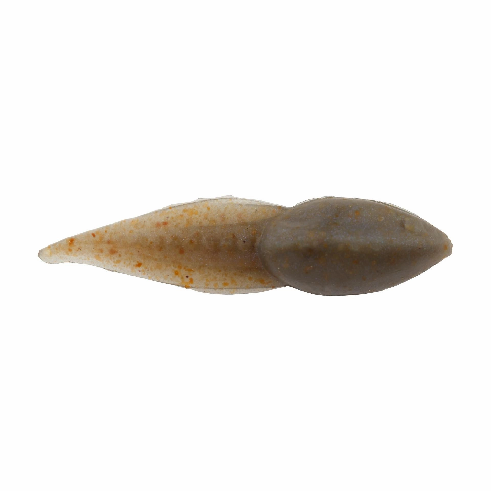 Gulp! Alive! Tadpole