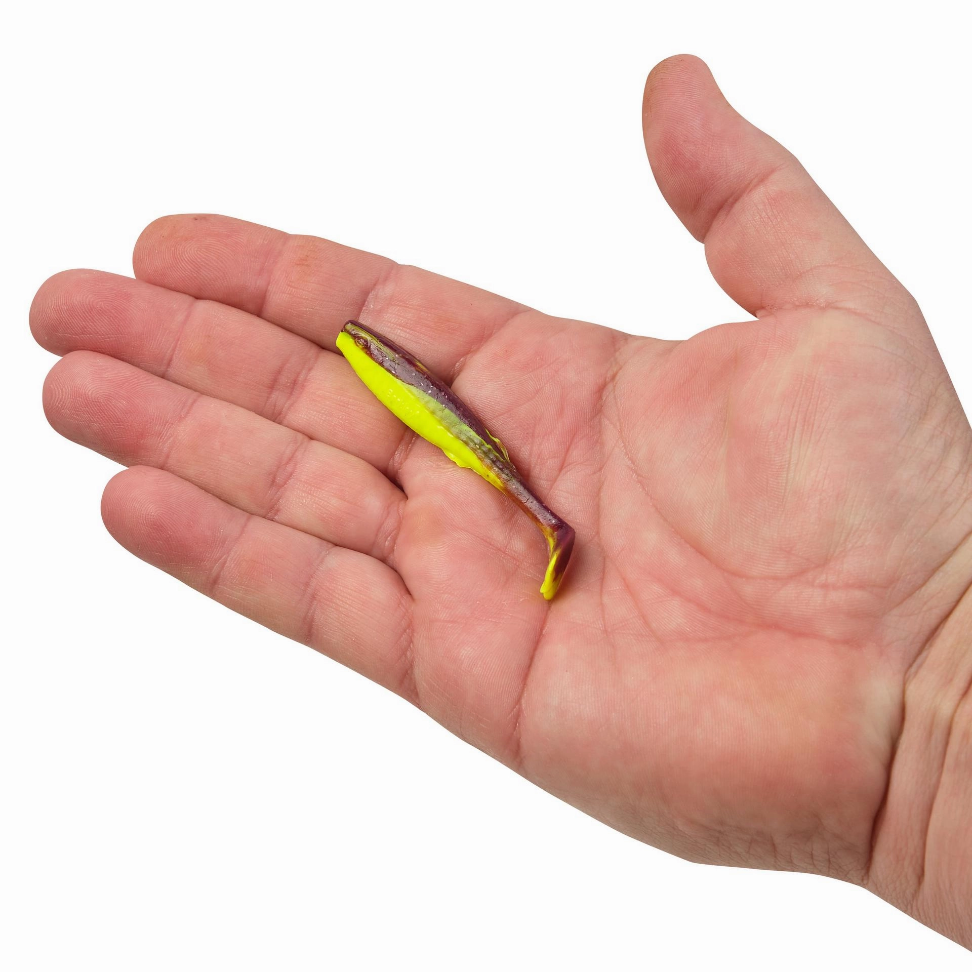 Gulp! Paddleshad