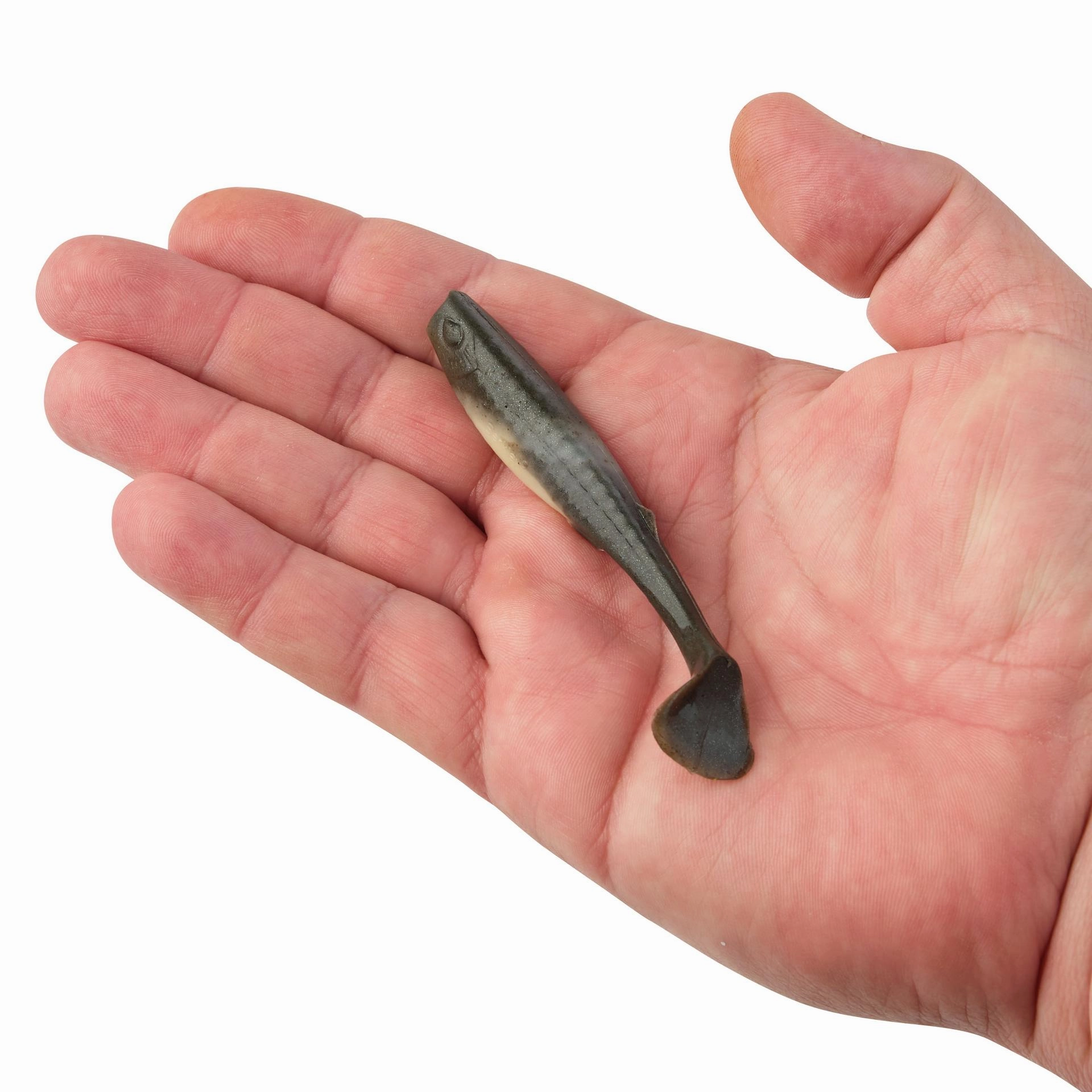 Gulp! Paddleshad