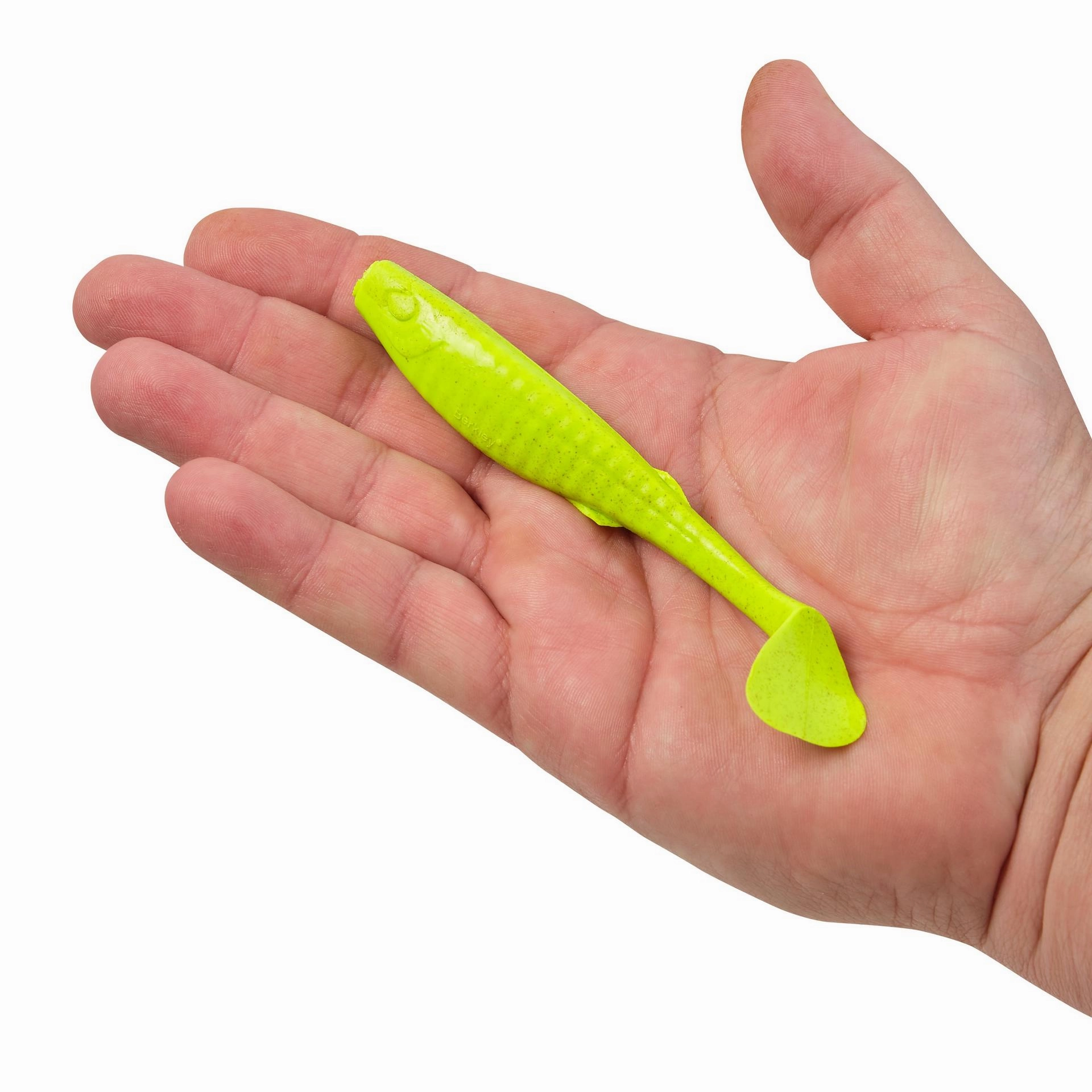Gulp! Paddleshad