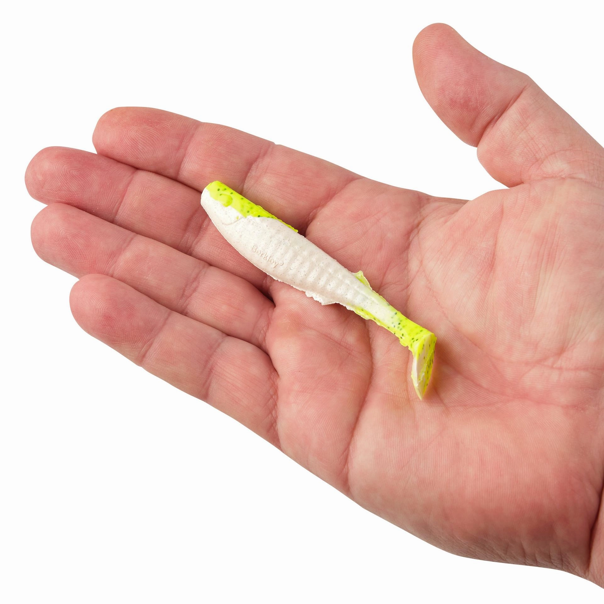 Gulp! Paddleshad
