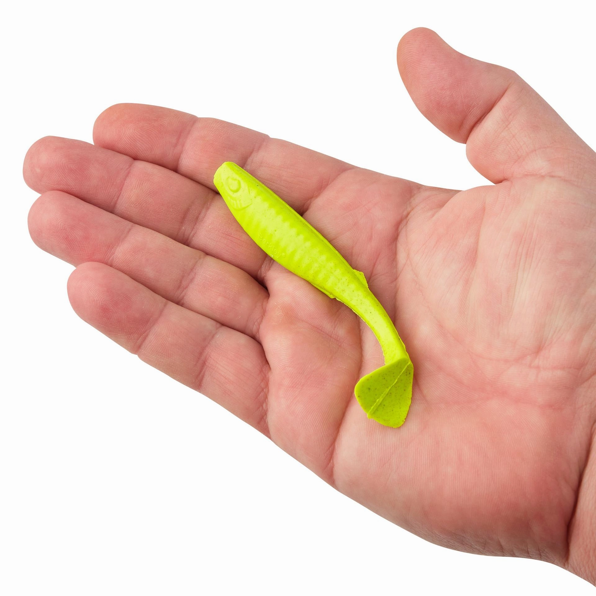 Gulp! Paddleshad