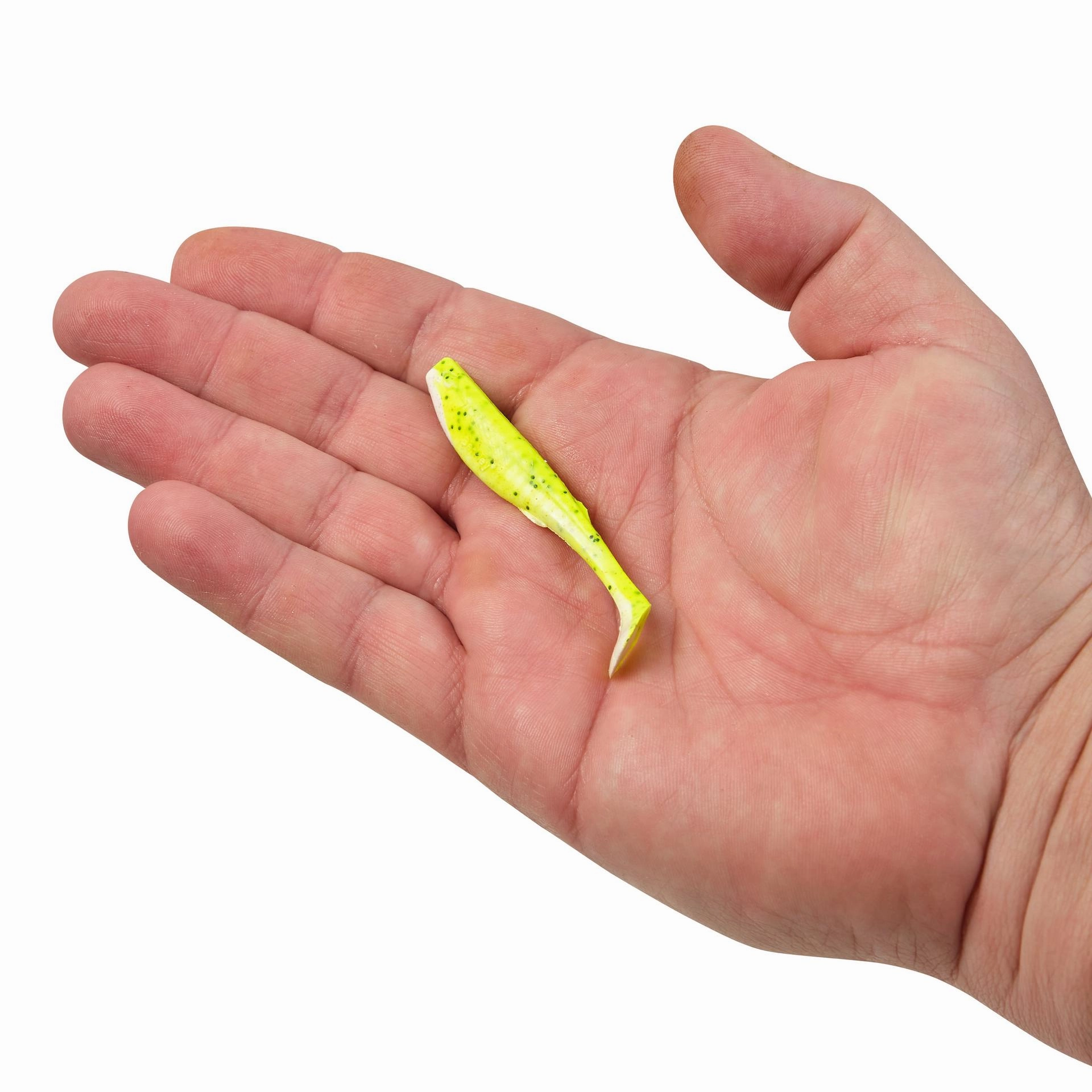 Gulp! Paddleshad
