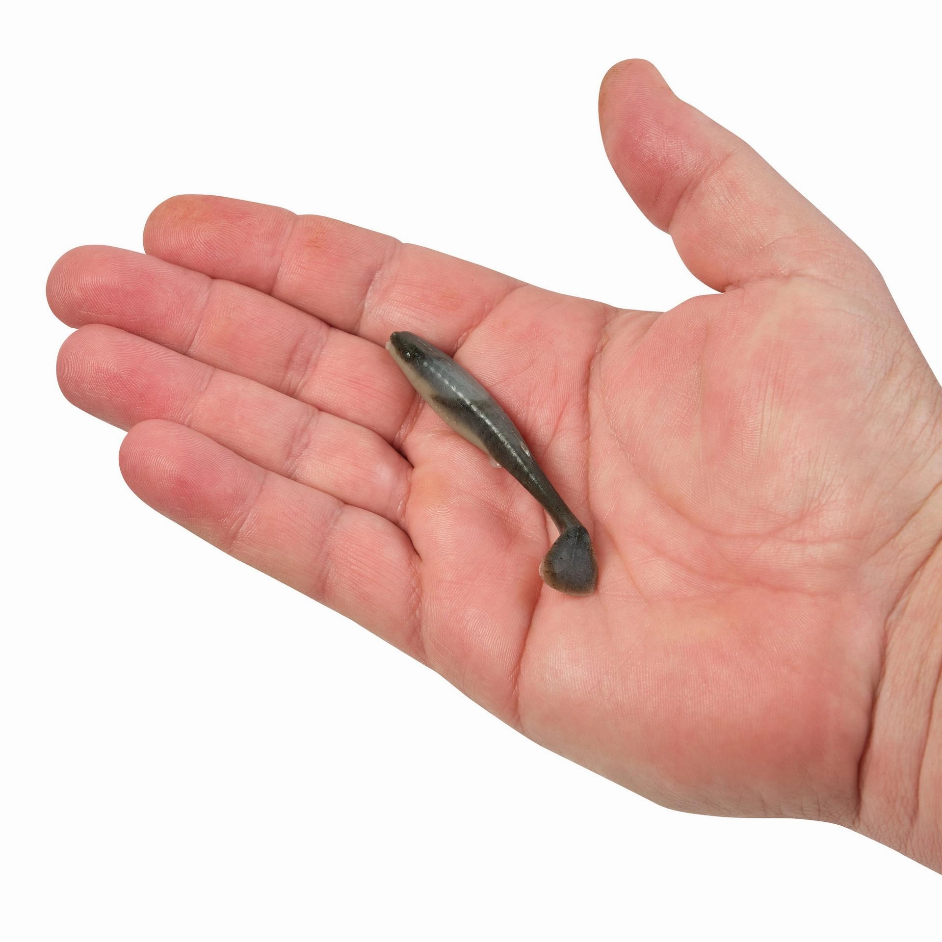 Gulp! Paddleshad