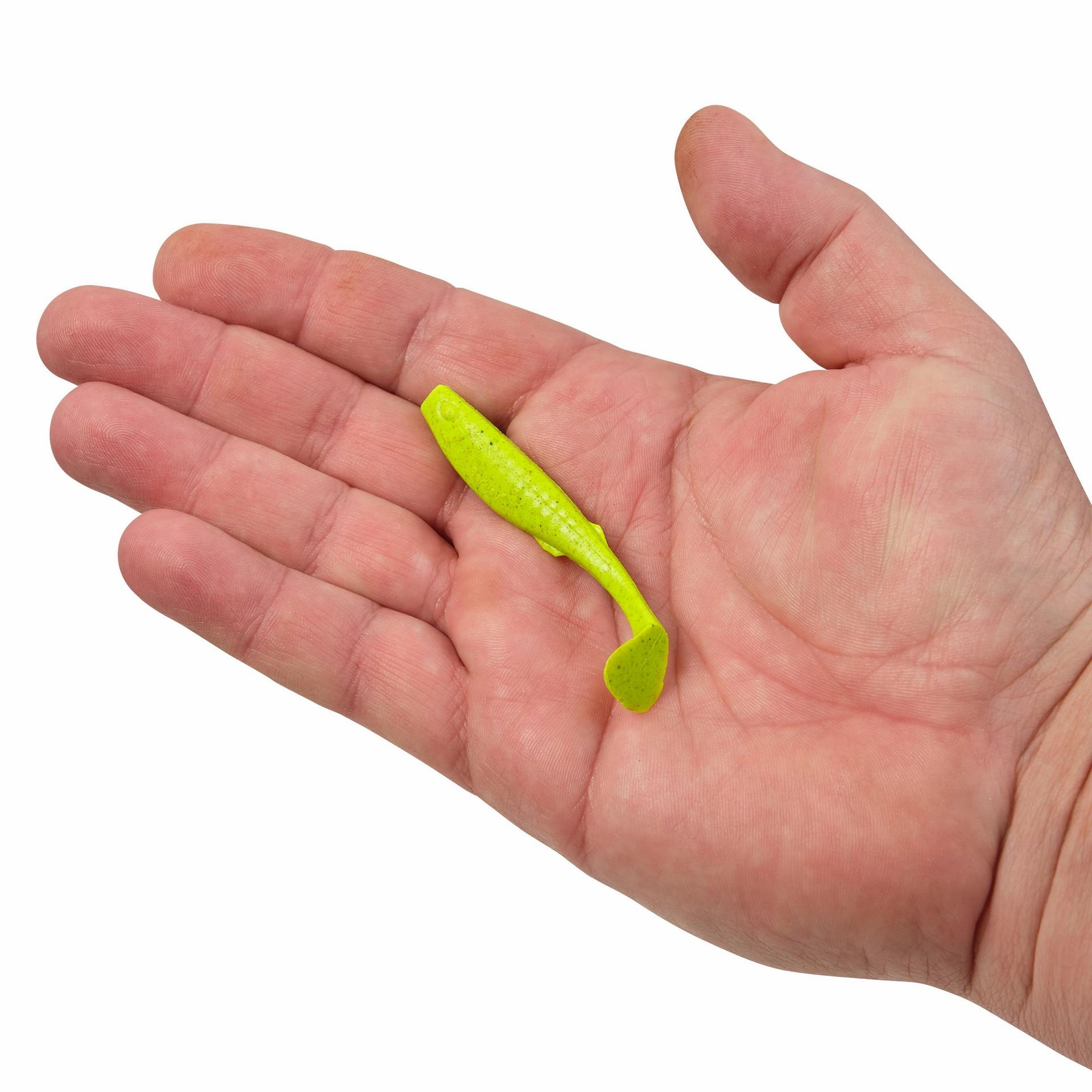Gulp! Paddleshad