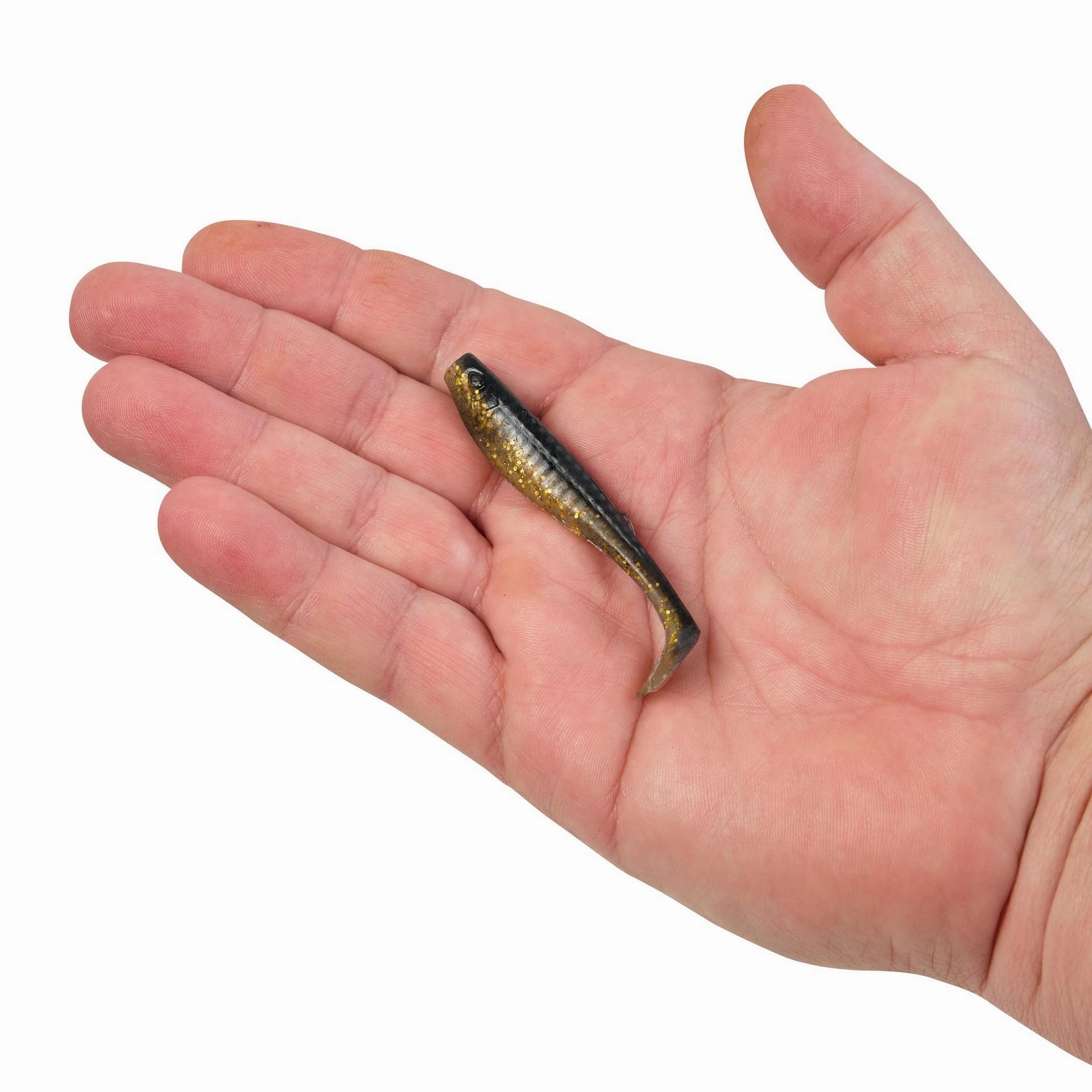 Gulp! Paddleshad