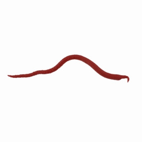 Gulp! Saltwater Extruded Bloodworm