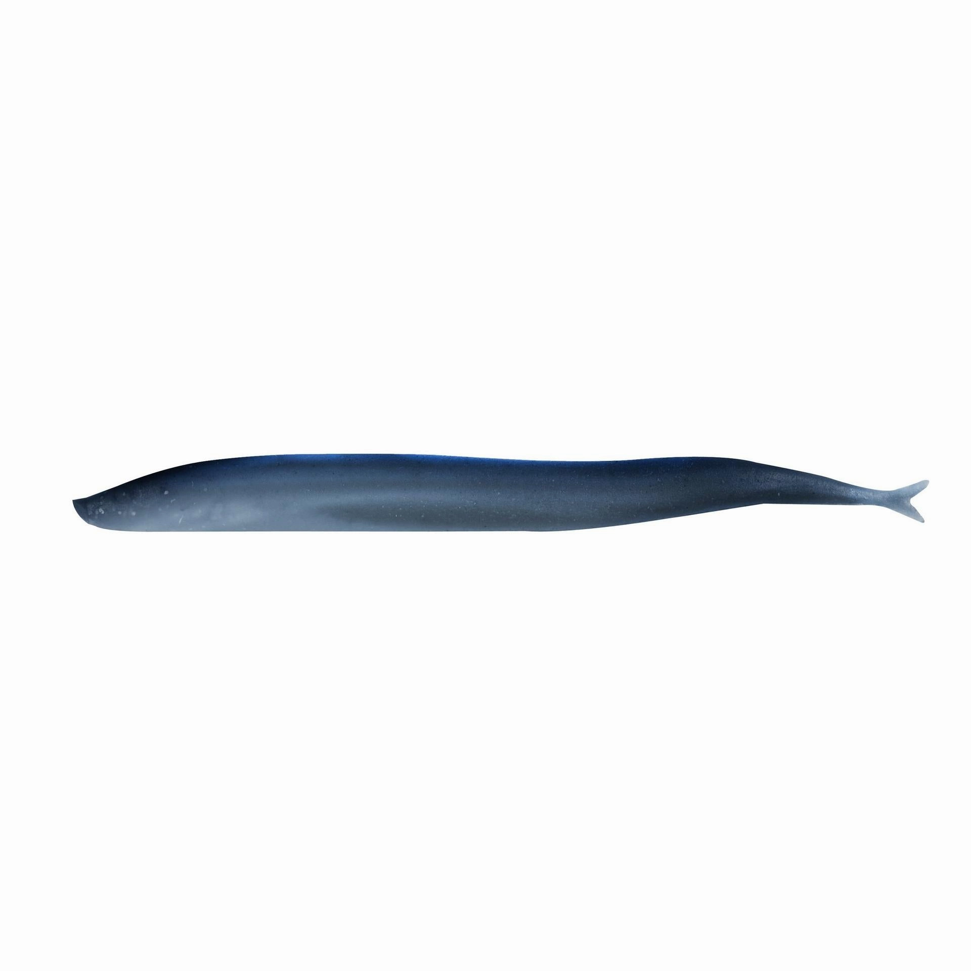 Gulp! Saltwater Sand Eel