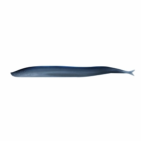 Gulp! Saltwater Sand Eel
