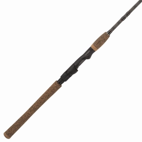 Lightning Rod Trout