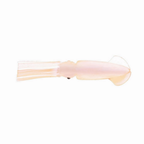 P-Line Rock Cod Rigs