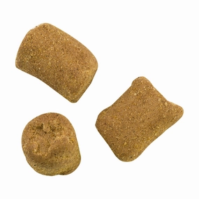 PowerBait Catfish Bait Chunks