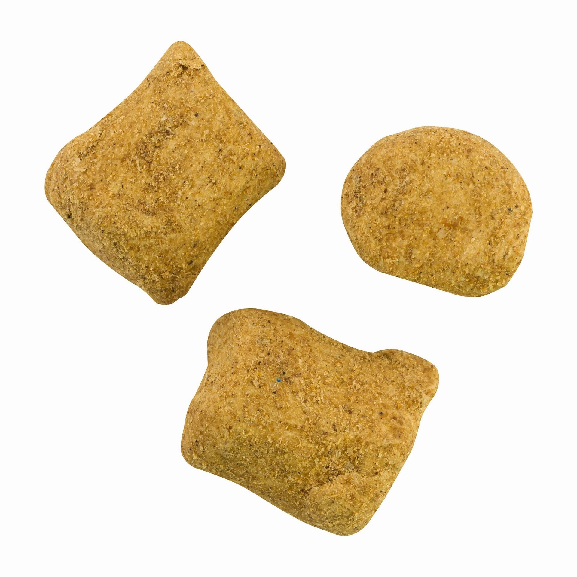 PowerBait Catfish Bait Chunks