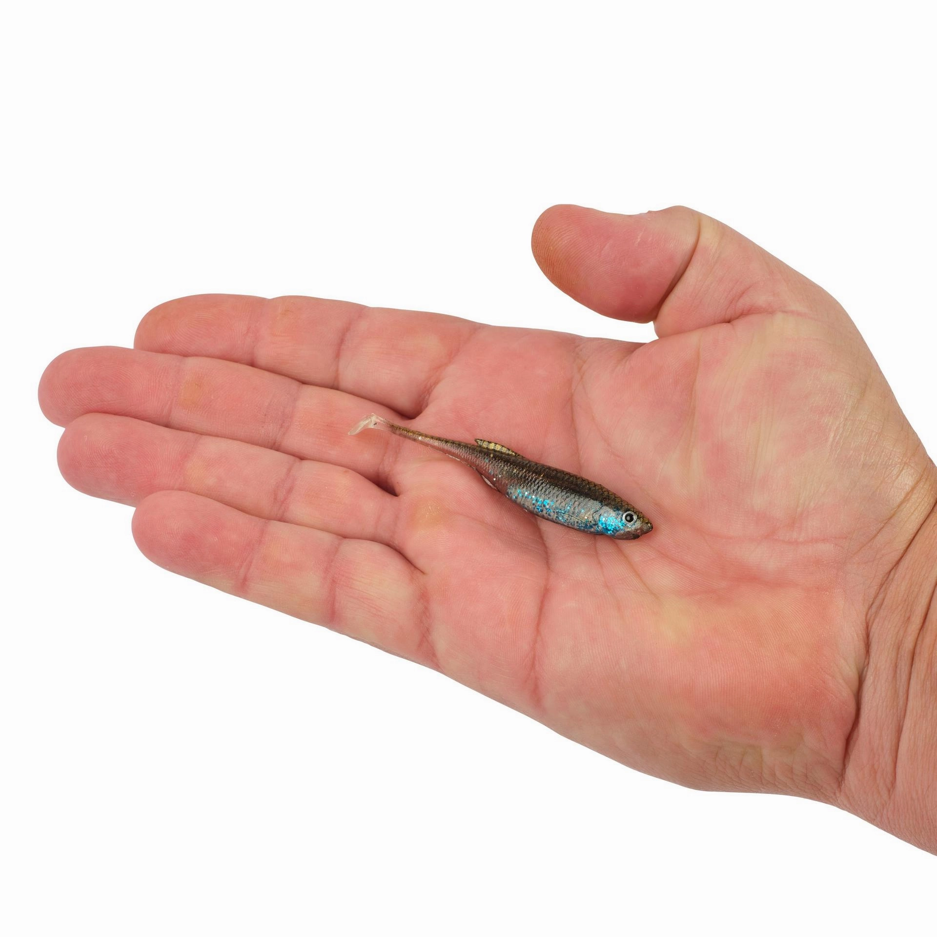PowerBait Drip Swimmer