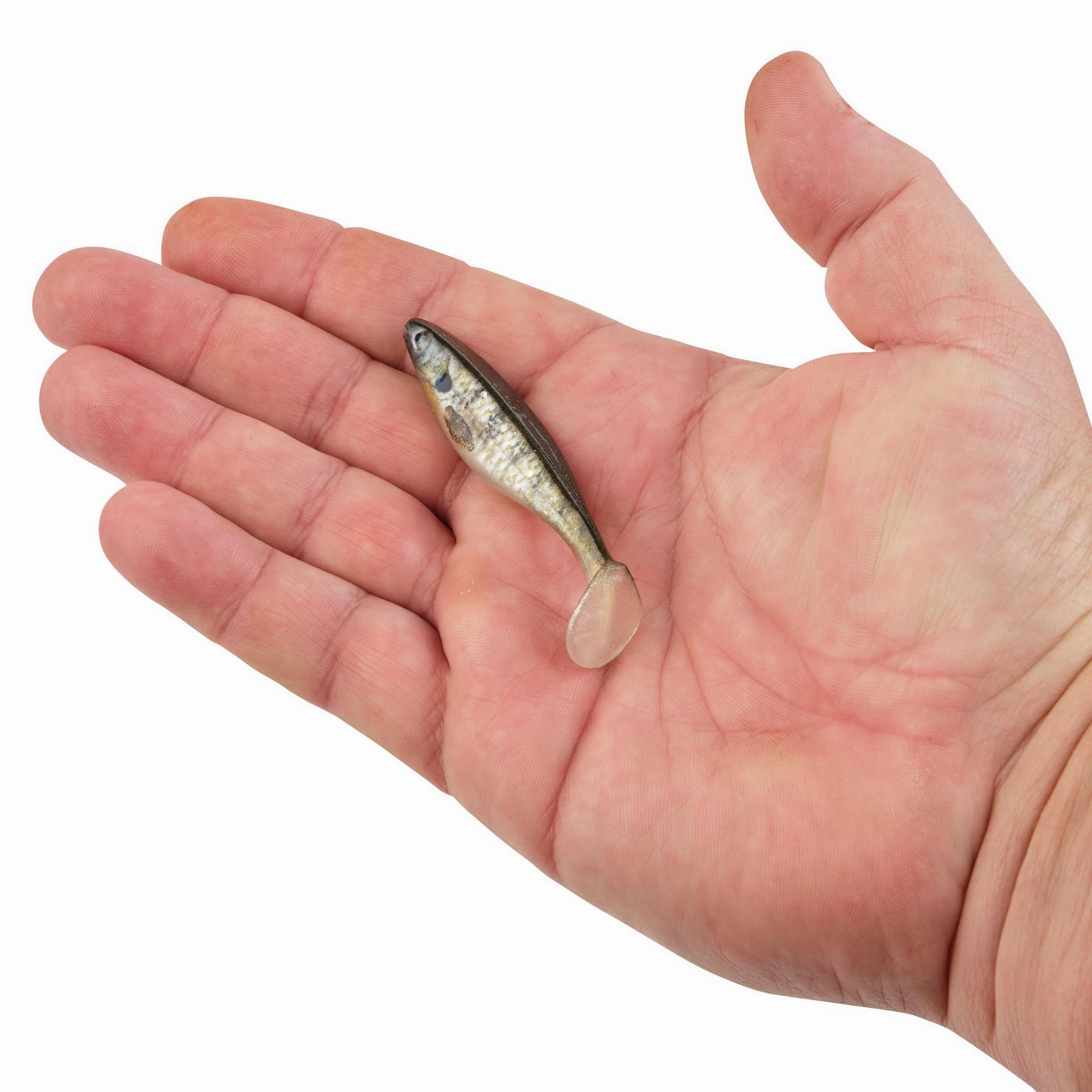 PowerBait The Champ Swimmer