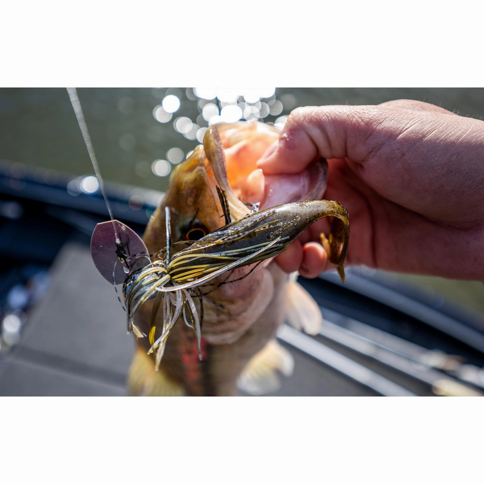 PowerBait The Deal