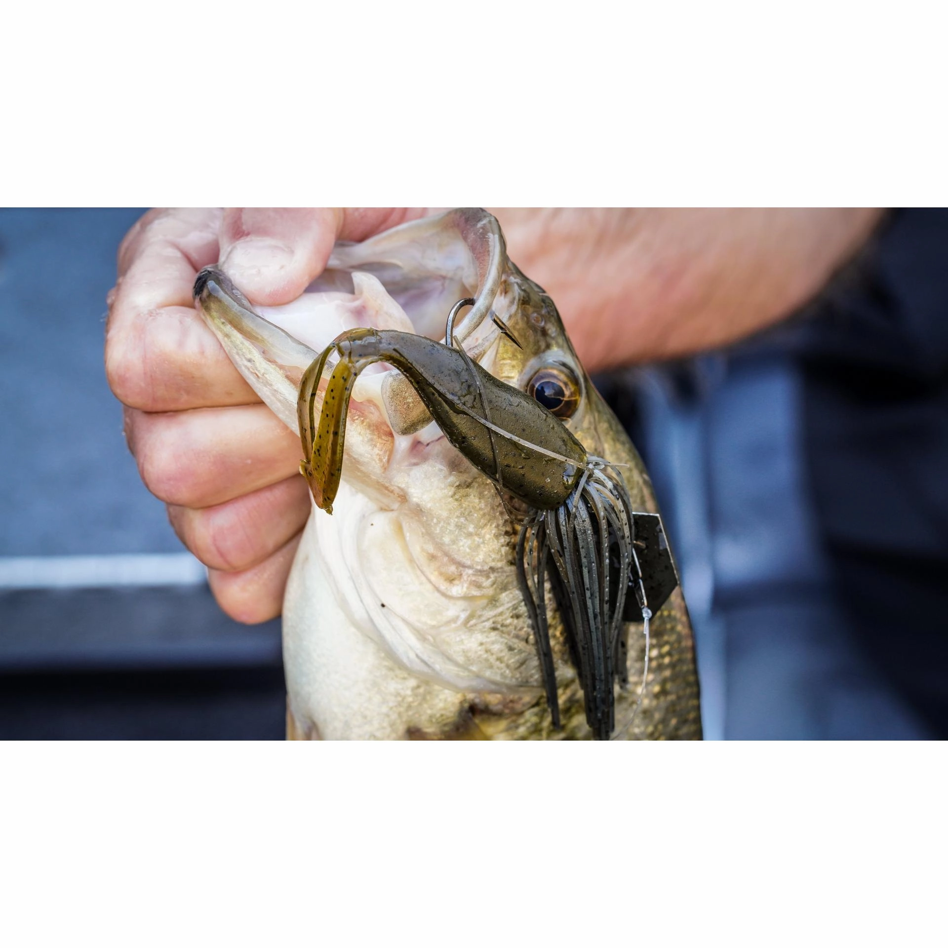 PowerBait The Deal
