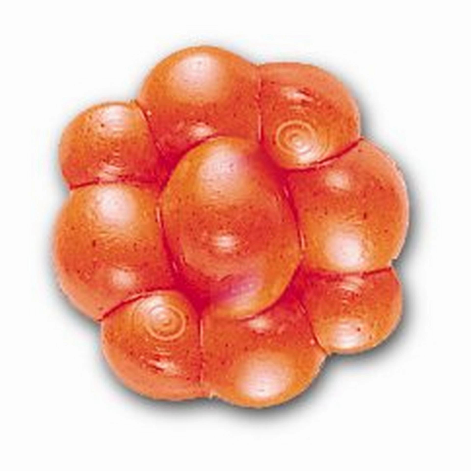 PowerBait Trout/Steelhead Egg Clusters