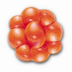 PowerBait Trout/Steelhead Egg Clusters
