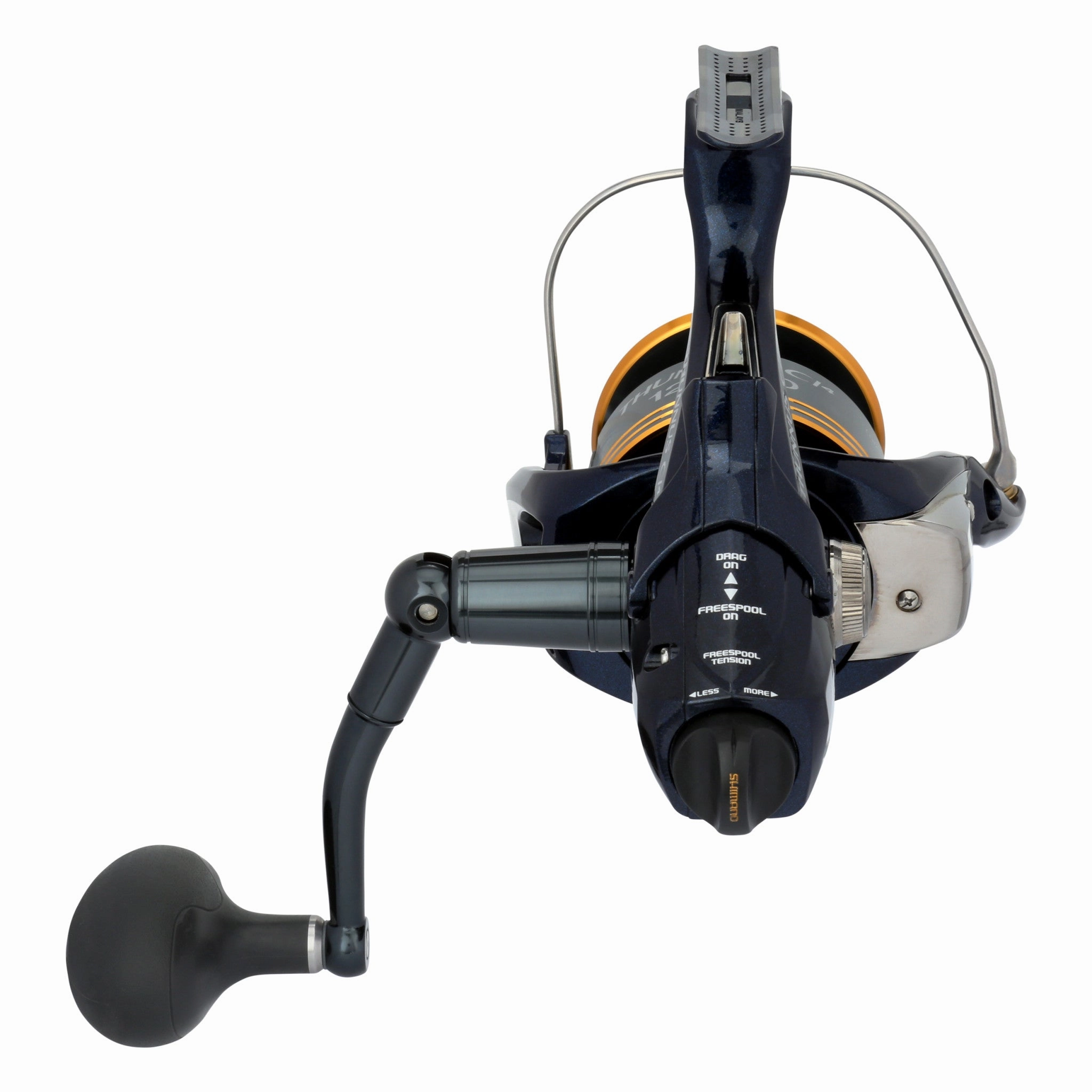 THUNNUS CI4